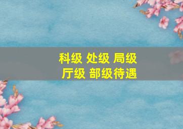 科级 处级 局级 厅级 部级待遇